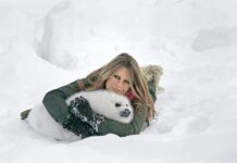 Adieu Brigitte Adieu « ta » France et son héritage