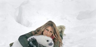 Adieu Brigitte Adieu « ta » France et son héritage