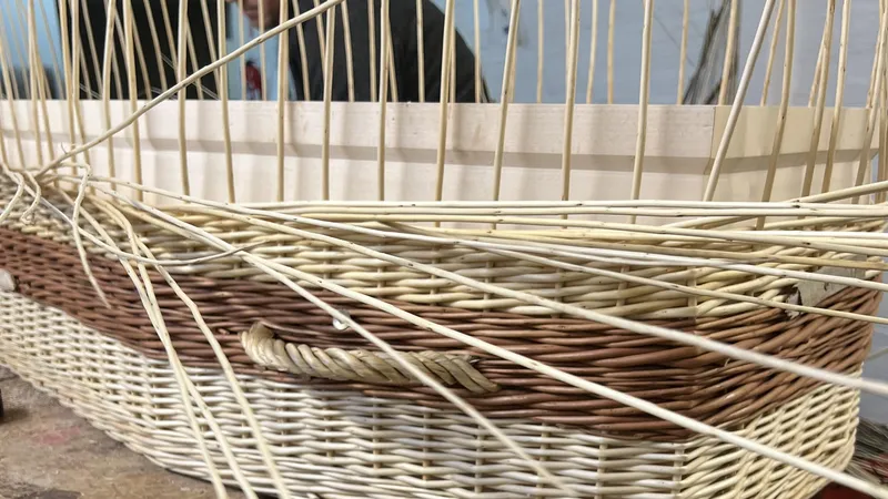 Le prototype du Bohemian a nécessité 25 kg d'osier. Un matériau récolté dans une parcelle de la Côte d'Opale.