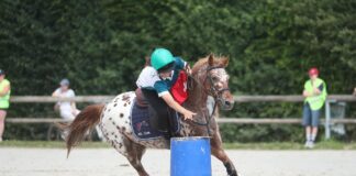 Rendez-vous au Grand Tournoi ce week-end pour l’édition 2026