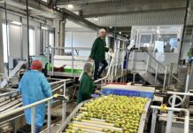 Cette entreprise arboricole de Maine-et-Loire se dote de la plus grande capacité de traitement de poires de France