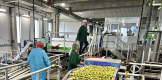 Cette entreprise arboricole de Maine-et-Loire se dote de la plus grande capacité de traitement de poires de France