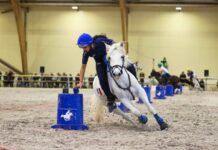 Rendez-vous à Lamotte-Beuvron pour les championnats du monde de pony-games et d’Europe de horse-ball